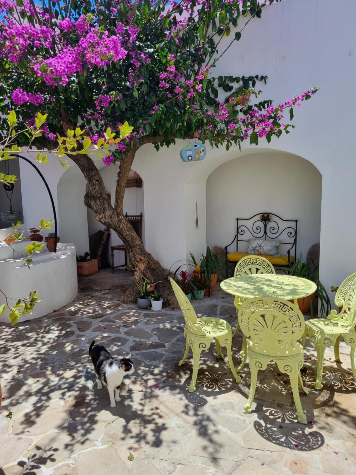 Castle House And Beach Sines Esterno foto